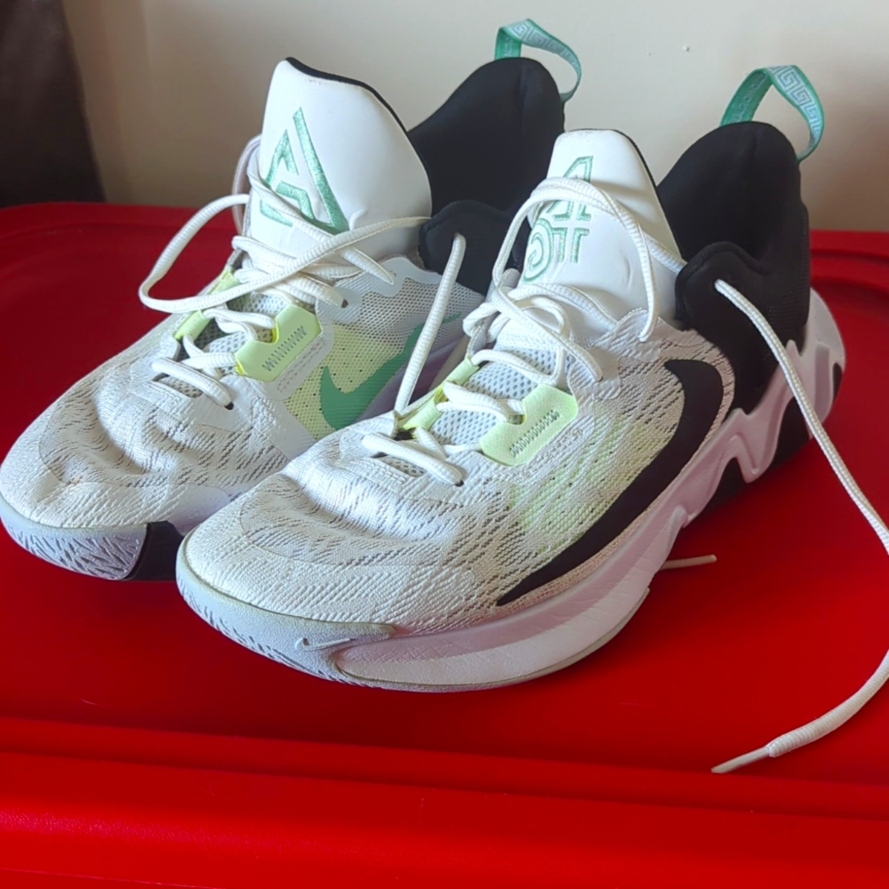 Nike Giannis Immortality 2 Size 13 basketball shoes